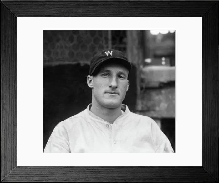 Framed Print : Goose Goslin