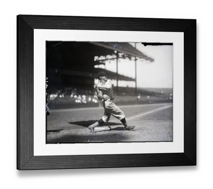 Framed Print : Leon Goose Goslin Framed Print : Leon Goose Goslin