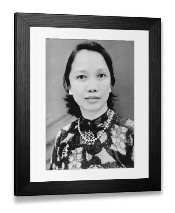 Framed Print : Vietnamese Physician Duong Quynh Hoa Framed Print : Vietnamese Physician Duong Quynh Hoa