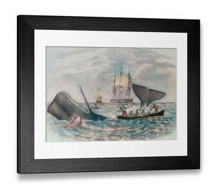 Framed Print : South Sea Whaling Framed Print : South Sea Whaling