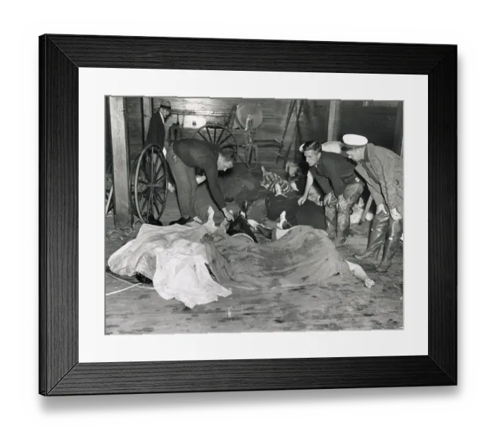 Framed Print : Victims Of S.S. Morro Castle Framed Print : Victims Of S.S. Morro Castle