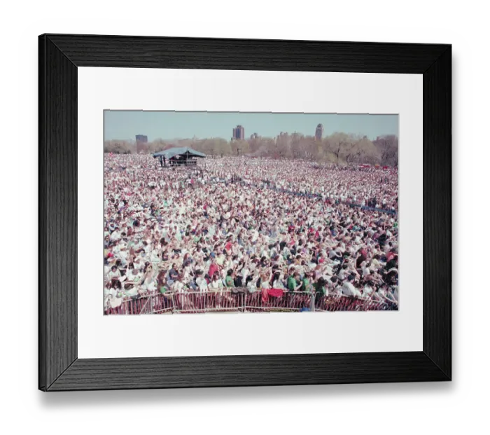 Framed Print : Central Park Earth Day Crowd Framed Print : Central Park Earth Day Crowd