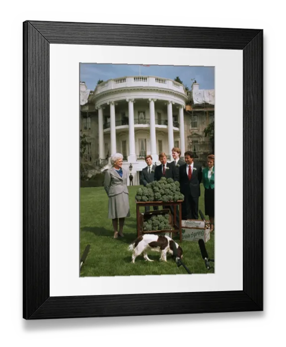 Framed Print : Barbara Bush Accepting Cases of Broccoli Framed Print : Barbara Bush Accepting Cases of Broccoli