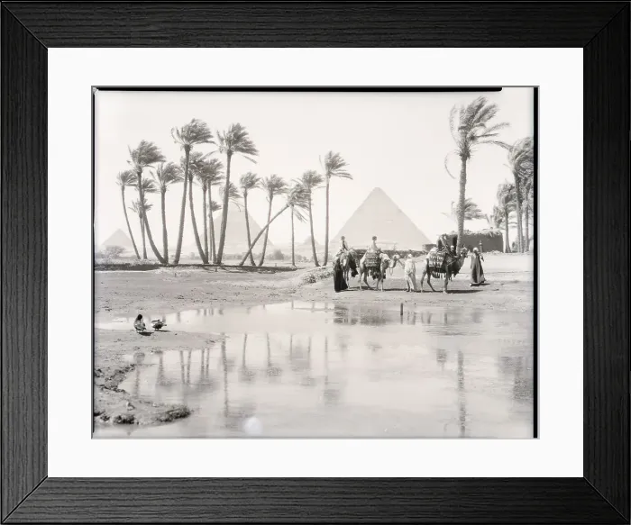 Framed Print : Oasis at Giza Framed Print : Oasis at Giza