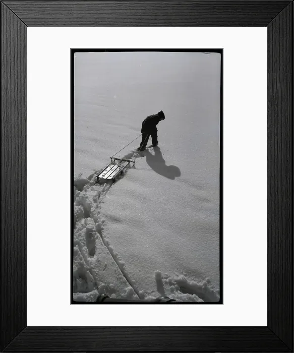 Framed Print : Pulling Sled Through Virgin Snow
