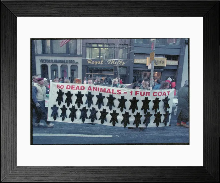Framed Print : Animal Rights Activists Protesting with Sign Framed Print : Animal Rights Activists Protesting with Sign
