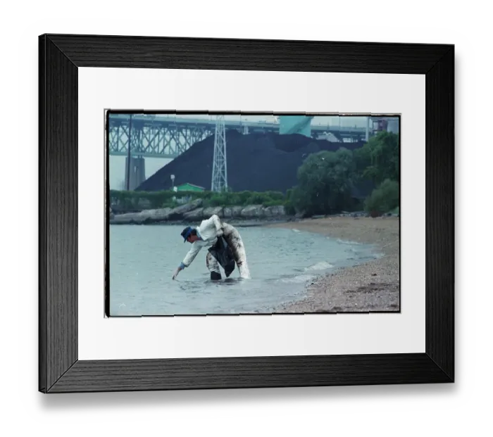 Framed Print : Man Wading Collecting Oil From Spill Framed Print : Man Wading Collecting Oil From Spill