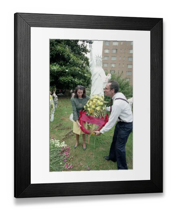 Framed Print : Nancy Pelosi Framed Print : Nancy Pelosi