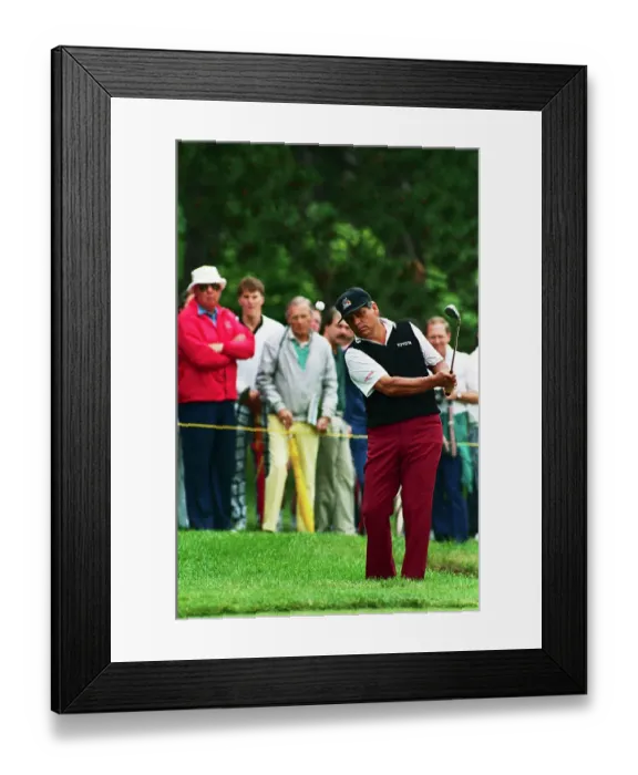Framed Print : Lee Trevino Swinging Golf Club Framed Print : Lee Trevino Swinging Golf Club