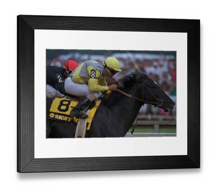 Framed Print : Sunday Silence and Easy Goer Competing in Preakness Framed Print : Sunday Silence and Easy Goer Competing in Preakness