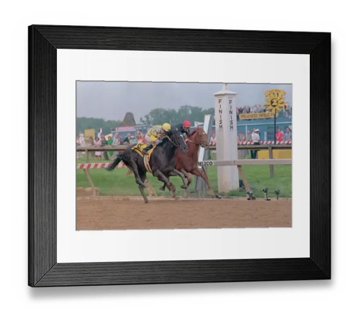 Framed Print : Sunday Silence Winning Preakness Race