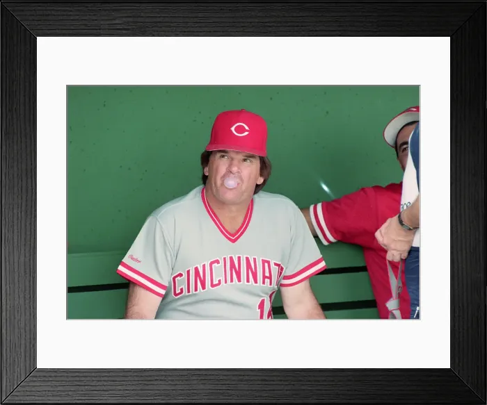 Framed Print : Pete Rose Blowing Bubblegum Bubble Framed Print : Pete Rose Blowing Bubblegum Bubble