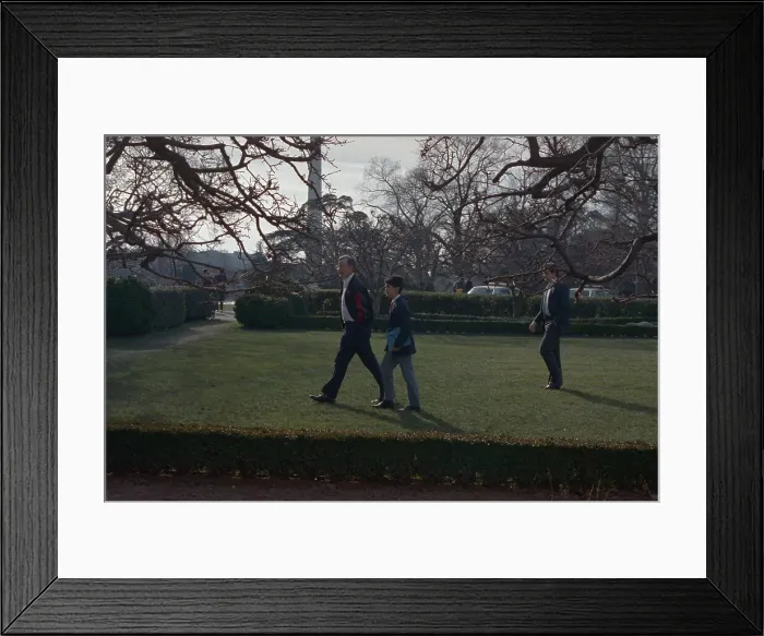 Framed Print : George Bush Strolling in Rose Garden with Grandson Framed Print : George Bush Strolling in Rose Garden with Grandson