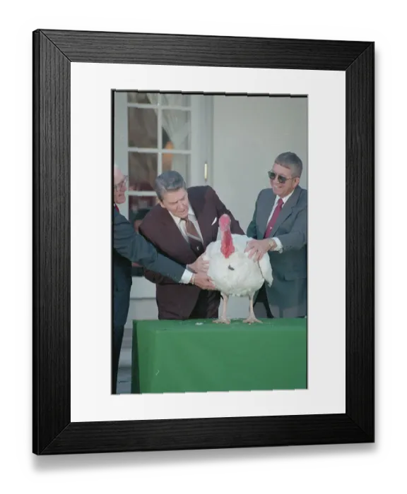 Framed Print : Ronald Reagan Pardoning Turkey
