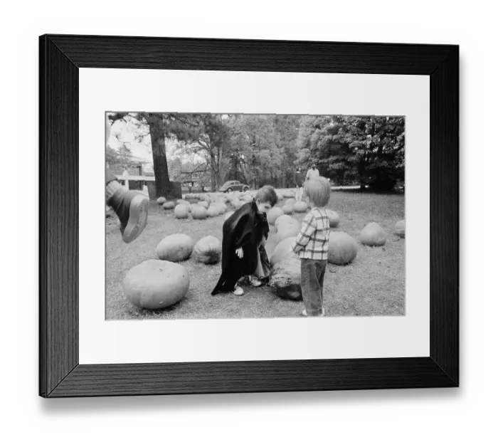Framed Print : Boy in Halloween Costume Surrounded by Pumpkins Framed Print : Boy in Halloween Costume Surrounded by Pumpkins