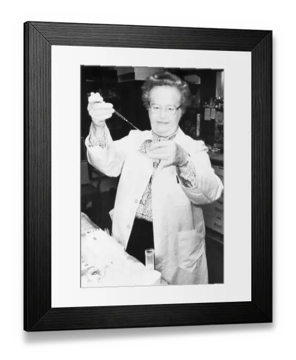 Framed Print : Gertrude Elion Working in Laboratory Framed Print : Gertrude Elion Working in Laboratory