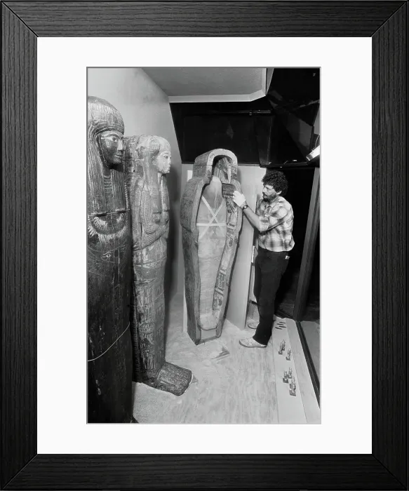 Framed Print : Exhibit Installer Cautiously Adjusting Mummies Framed Print : Exhibit Installer Cautiously Adjusting Mummies