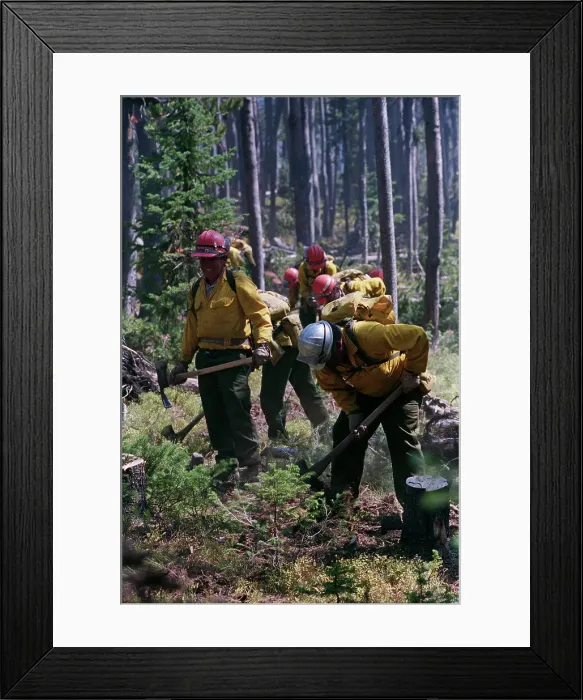 Framed Print : Firefighters Cutting Fire Line Framed Print : Firefighters Cutting Fire Line