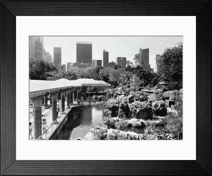 Framed Print : Central Park Zoo, 1988