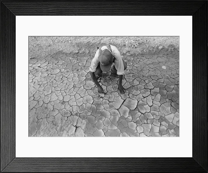 Framed Print : Man Inspecting Dry Cracked Soil Framed Print : Man Inspecting Dry Cracked Soil