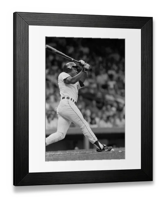 Framed Print : Lou Whitaker Swinging Bat Framed Print : Lou Whitaker Swinging Bat