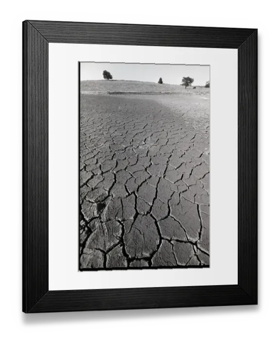 Framed Print : Dry Cracked Pond Framed Print : Dry Cracked Pond