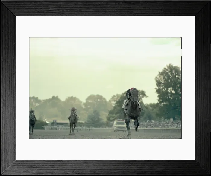 Framed Print : Winning Horse Charging Toward Finish Line Framed Print : Winning Horse Charging Toward Finish Line