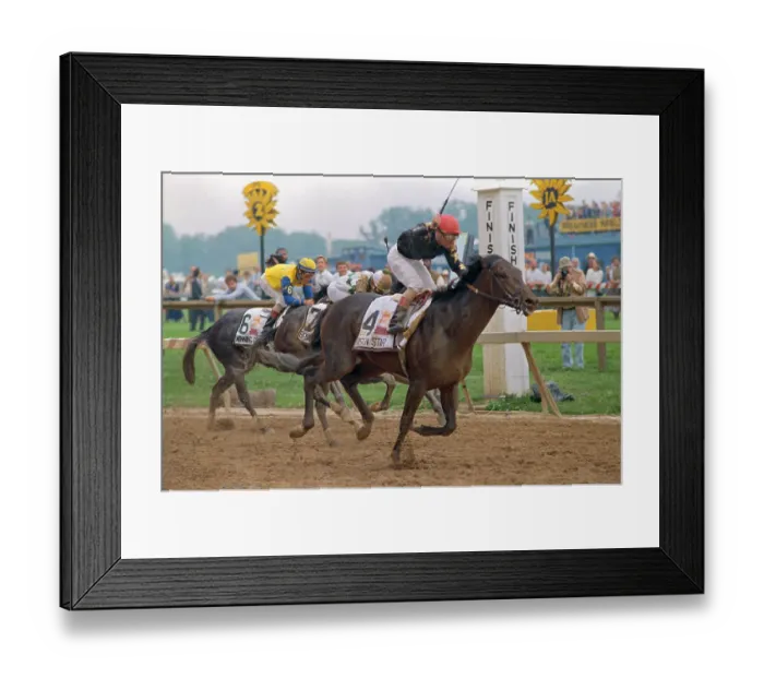 Framed Print : Horses Racing in Preakness Stakes