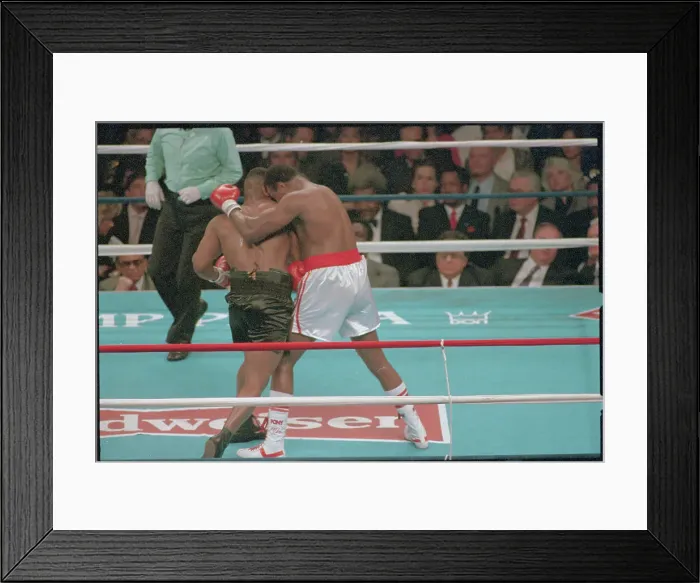 Framed Print : Larry Homes Falling Through Ropes Framed Print : Larry Homes Falling Through Ropes