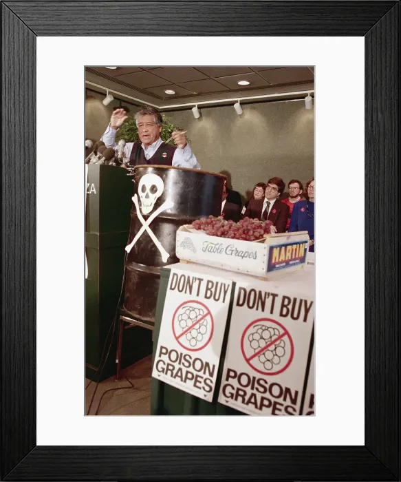Framed Print : Cesar Chavez Speaking at Conference Framed Print : Cesar Chavez Speaking at Conference