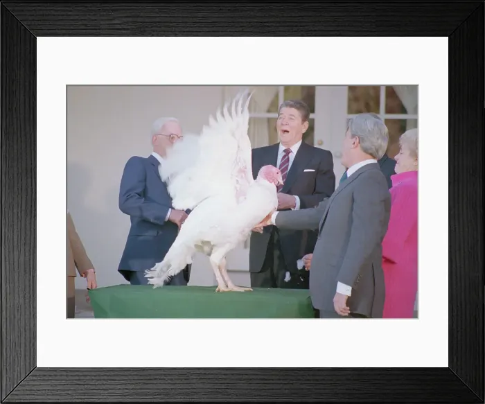 Framed Print : Ronald Reagan Reacting to Turkey Flapping Wings Framed Print : Ronald Reagan Reacting to Turkey Flapping Wings