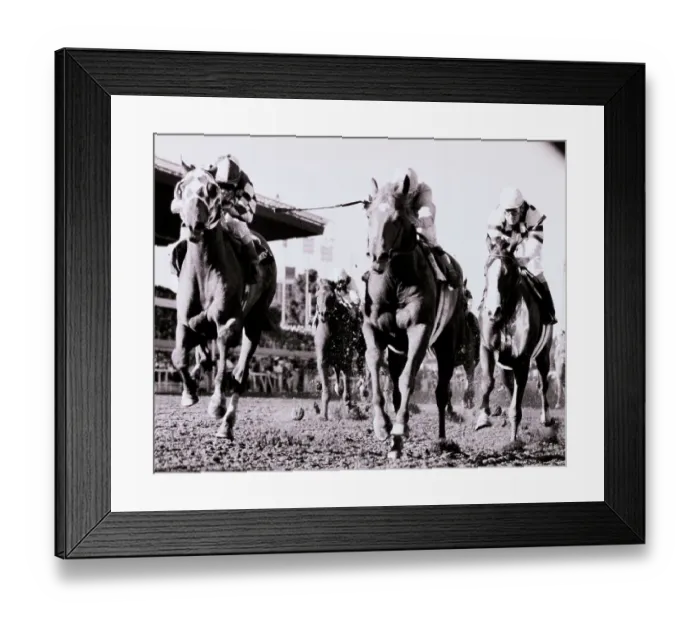 Framed Print : Willie Shoemaker Riding Ferdinand in Breeders Cup Classic Framed Print : Willie Shoemaker Riding Ferdinand in Breeders Cup Classic