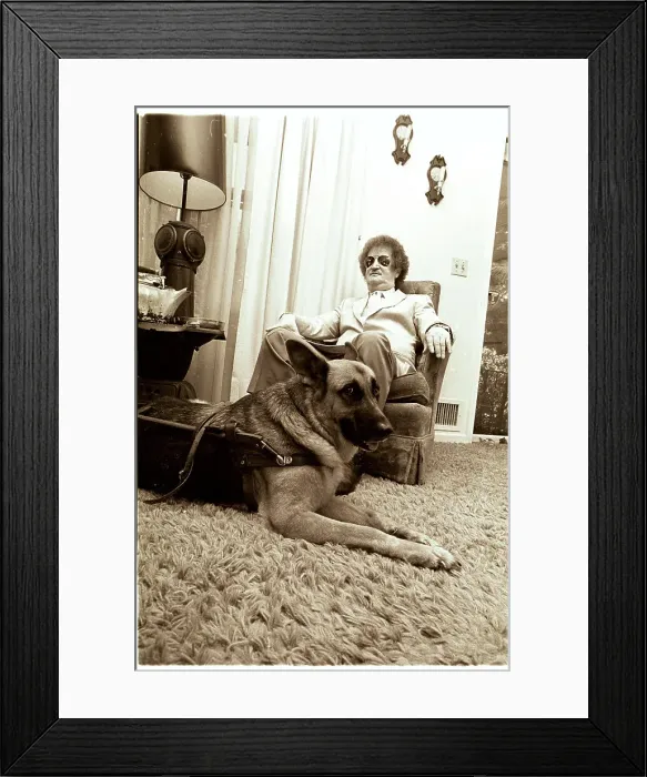Framed Print : Guide Dog Advocate Sitting with His Companion