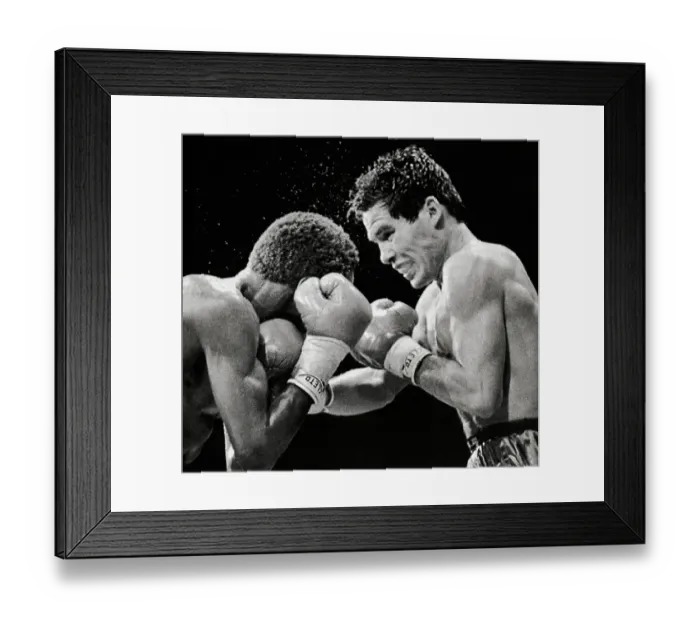 Framed Print : Julio Cesar Chavez Punches Danilo Cabarera Framed Print : Julio Cesar Chavez Punches Danilo Cabarera