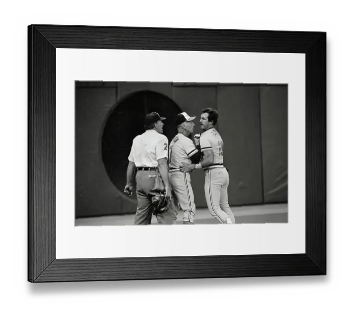 Framed Print : Cal Ripken, Sr. Grabbing Freddie Lynn Framed Print : Cal Ripken, Sr. Grabbing Freddie Lynn
