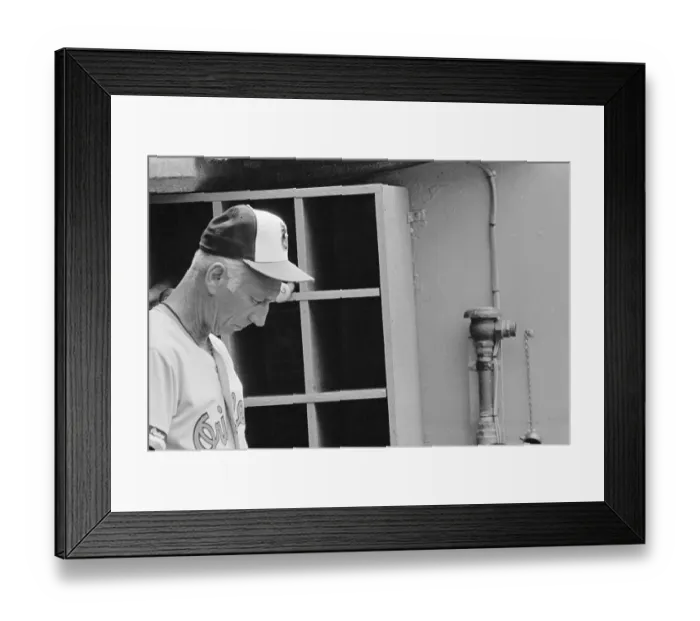 Framed Print : Cal Ripken Sr. Hanging His Head Framed Print : Cal Ripken Sr. Hanging His Head