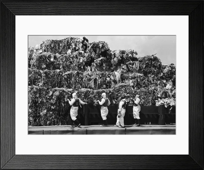 Framed Print : Workers Inspecting Garbage On Barge Framed Print : Workers Inspecting Garbage On Barge