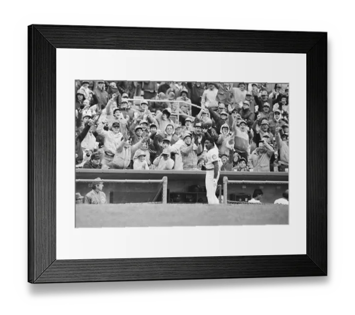 Framed Print : Chicago Cubs Andre Dawson acknowledges the crowd Framed Print : Chicago Cubs Andre Dawson acknowledges the crowd