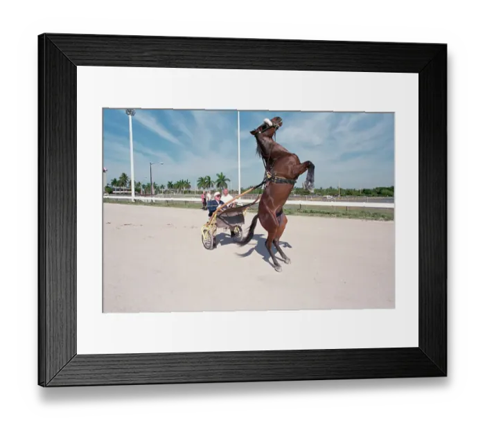 Framed Print : George Steinbrenner on Bucking Horse Framed Print : George Steinbrenner on Bucking Horse