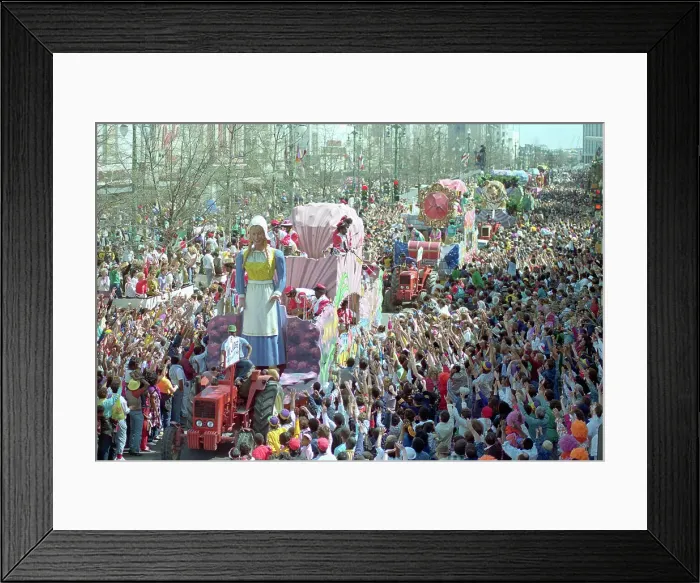 Framed Print : The Zulu Mardi Gras Parade
