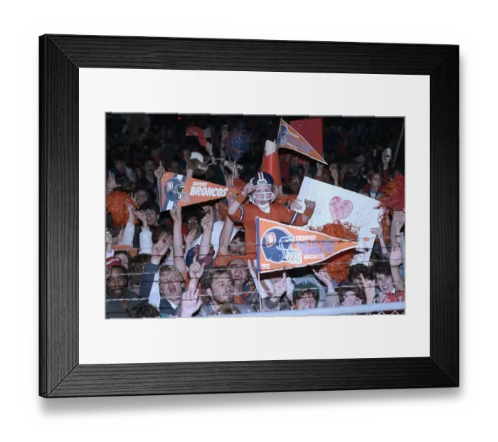 Framed Print : Fans Celebrating at Bronco Football Game Framed Print : Fans Celebrating at Bronco Football Game