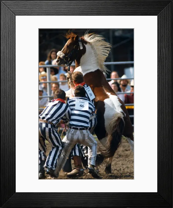 Framed Print : Inmates Trying to Restrain Horse
