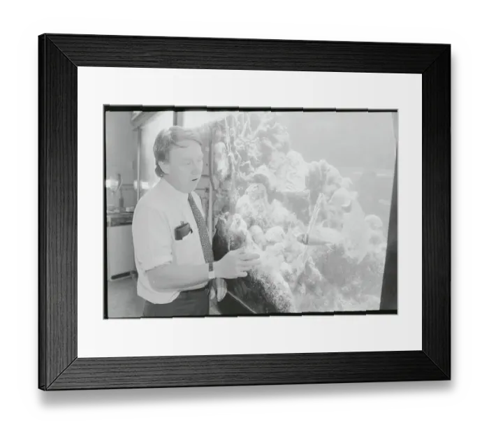 Framed Print : Man Displaying Coral Reef Framed Print : Man Displaying Coral Reef