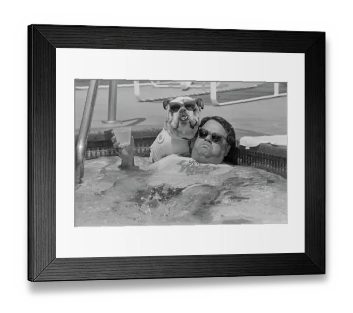 Framed Print : John Bisciglia With Pet Bulldog in Pool Framed Print : John Bisciglia With Pet Bulldog in Pool