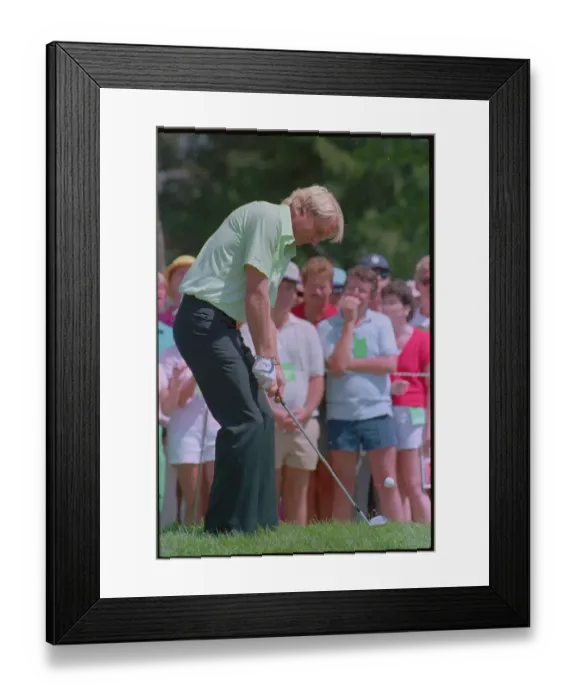 Framed Print : Golfer Greg Norman Preparing to Putt Framed Print : Golfer Greg Norman Preparing to Putt
