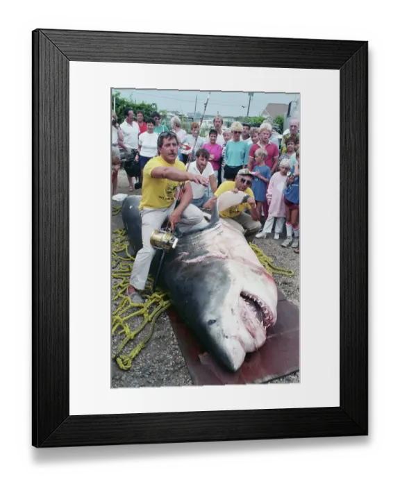 Framed Print : Men Posing with Great White Shark