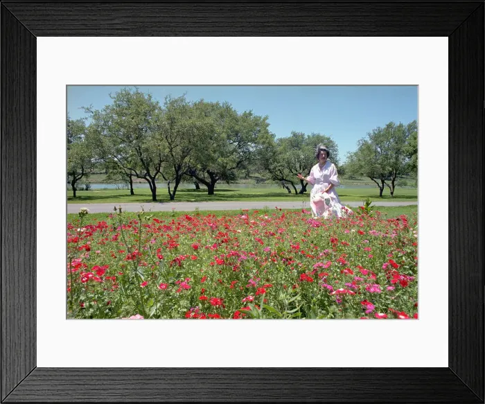 Framed Print : Lady Bird Johnson Walking in Garden Framed Print : Lady Bird Johnson Walking in Garden