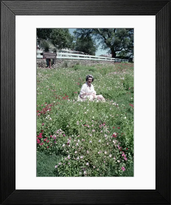 Framed Print : Lady Bird Johnson Sitting Among Flowers Framed Print : Lady Bird Johnson Sitting Among Flowers
