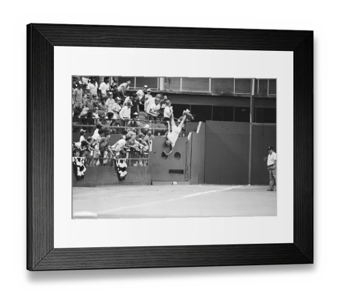 Framed Print : Baseball Fan Falling to Catch Baseball Framed Print : Baseball Fan Falling to Catch Baseball