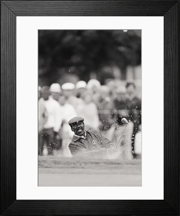 Framed Print : Calvin Peete Hitting out of Sand Trap Framed Print : Calvin Peete Hitting out of Sand Trap